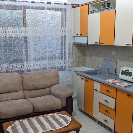 David Guesthouse Shkoder Ngoại thất bức ảnh