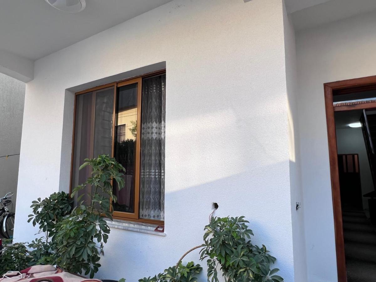 David Guesthouse Shkoder Ngoại thất bức ảnh